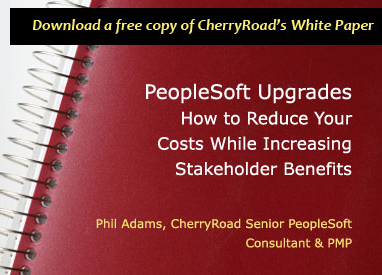 CherryRoad Technologies